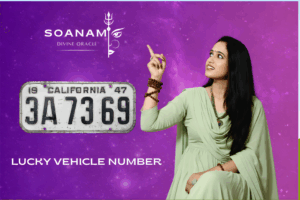 Lucky vehicle numbers
